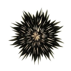 Maja 60 Adventsstjärna Svart